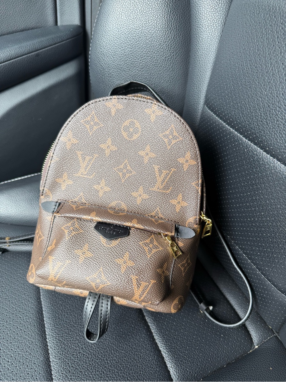 Louis Vuitton Monogram Mini Backpack in Brown and Gold